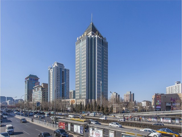 聊城速冻机多少钱